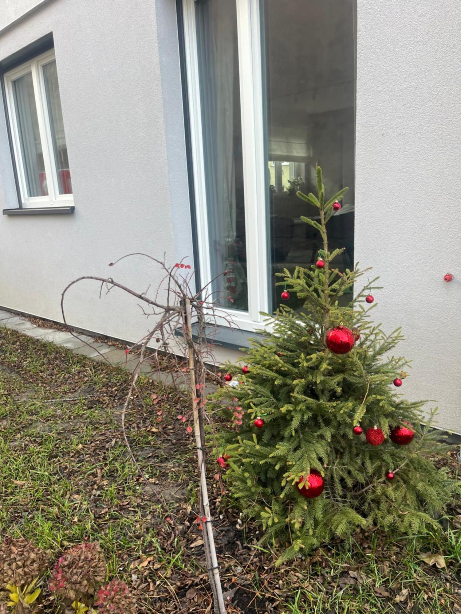 Apartament Kaszmirowy Bielsko-Biała Ngoại thất bức ảnh