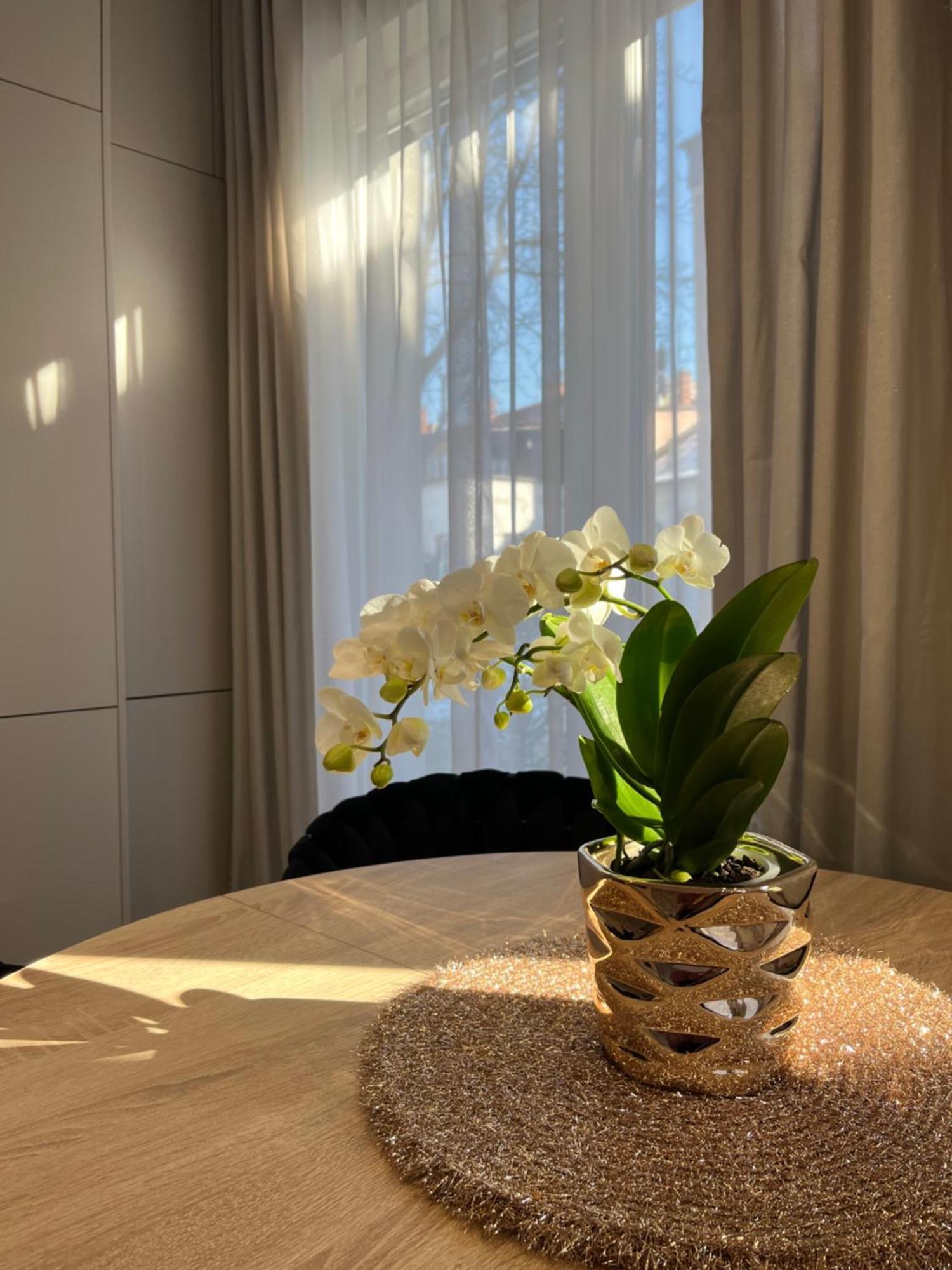 Apartament Kaszmirowy Bielsko-Biała Ngoại thất bức ảnh